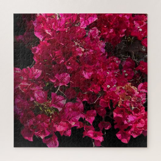 Bougainvillea Red Tropical Vining Shrub Foto Legpuzzel (Verticaal)