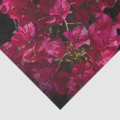 Bougainvillea Red Tropical Vining Shrub Foto Tissuepapier (Detail)