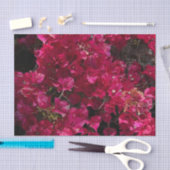 Bougainvillea Red Tropical Vining Shrub Foto Tissuepapier (Craft)