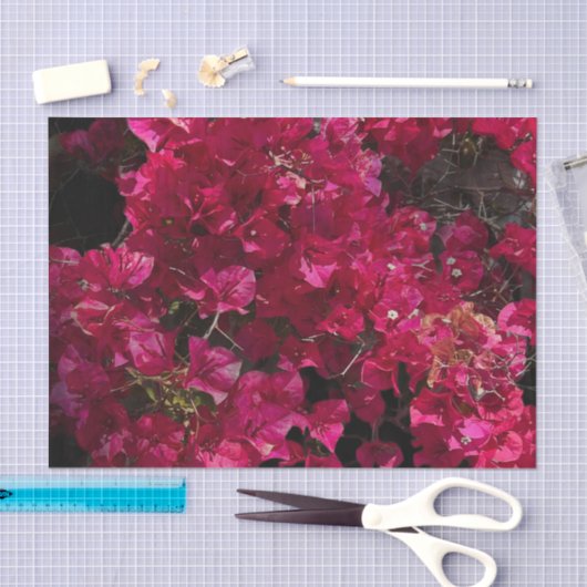 Bougainvillea Red Tropical Vining Shrub Foto Tissuepapier (Craft)