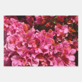 Bougainvillea Roze Tropische Klimstruik Foto Inpakpapier Vel (Voorkant 3)