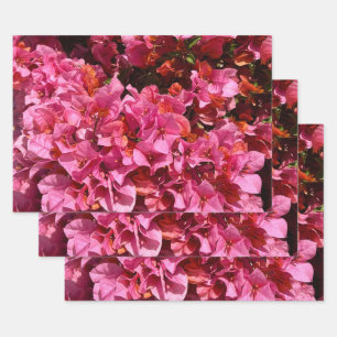 Bougainvillea Roze Tropische Klimstruik Foto Inpakpapier Vel