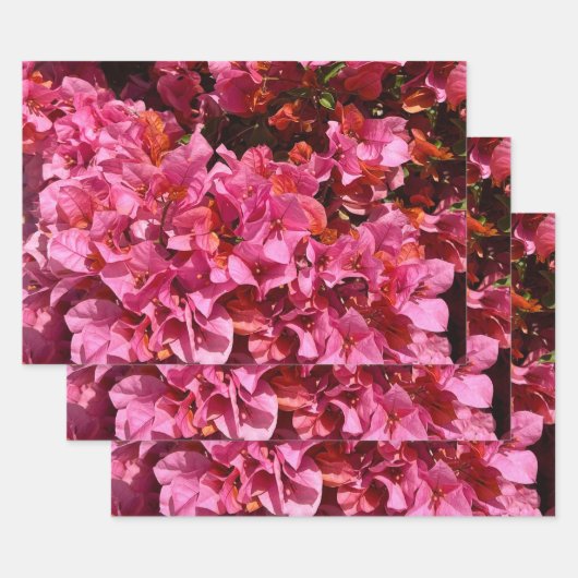 Bougainvillea Roze Tropische Klimstruik Foto Inpakpapier Vel (Set)