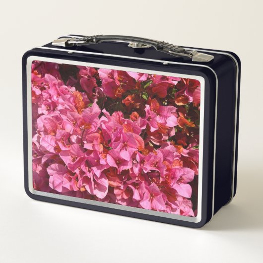 Bougainvillea Roze Tropische Vining Shrub Foto (Achterkant)