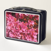 Bougainvillea Roze Tropische Vining Shrub Foto (Voorkant)