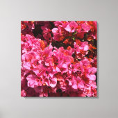 Bougainvillea Roze Tropische Vining Shrub Foto Canvas Afdruk (Voorkant)