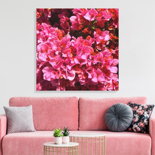 Bougainvillea Roze Tropische Vining Shrub Foto Canvas Afdruk (Insitu (Woonkamer))