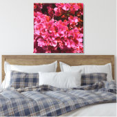 Bougainvillea Roze Tropische Vining Shrub Foto Canvas Afdruk (Insitu (Slaapkamer))