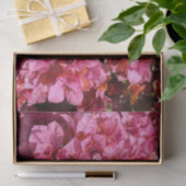 Bougainvillea Roze Tropische Vining Shrub Foto Tissuepapier (Geschenk)