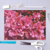 Bougainvillea Roze Tropische Vining Shrub Foto Tissuepapier (Craft)