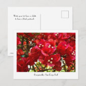 Bougainvillea "San Diego Red" collectief Briefkaar Briefkaart (Voorkant / Achterkant)