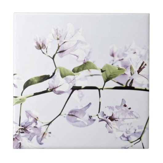 Bougainvillea Tegeltje (Voorkant)