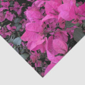 Bougainvillea Tissue Paper Tissuepapier (Detail)