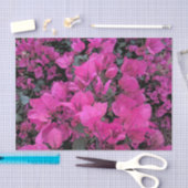 Bougainvillea Tissue Paper Tissuepapier (Craft)