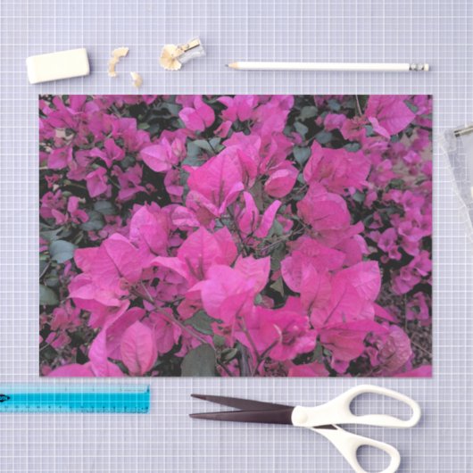 Bougainvillea Tissue Paper Tissuepapier (Craft)