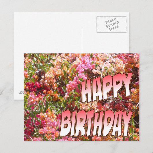 Bougainvillea Verjaardag Briefkaart Roze (Voorkant / Achterkant)