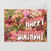 Bougainvillea Verjaardag Briefkaart Roze (Voorkant)