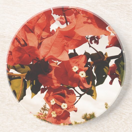 Bougainvillea Zandsteen Onderzetter (Voorkant)