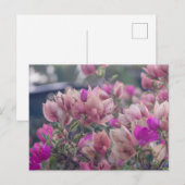 Bougainvilleabloemen Feestdagenkaart (Voorkant / Achterkant)
