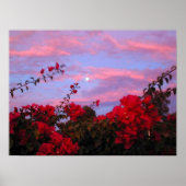 Bougainvilleas en Full Moon op Sunset Poster (Voorkant)