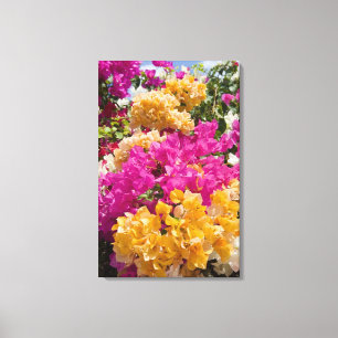 Bouganvilleau, Cayman Brac, Kaaimaneilanden, Canvas Afdruk