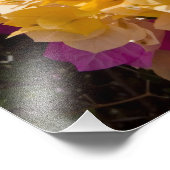 Bouganvilleau, Cayman Brac, Kaaimaneilanden, Foto Afdruk (Hoek)