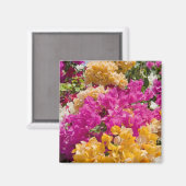 Bouganvilleau, Cayman Brac, Kaaimaneilanden, Magneet (Voorkant / Achterkant)