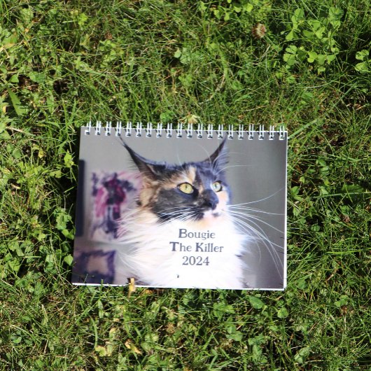 Bougie Verdunnen Calico Maine Coon Cat Kalender