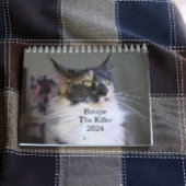 Bougie Verdunnen Calico Maine Coon Cat Kalender