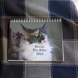 Bougie Verdunnen Calico Maine Coon Cat Kalender