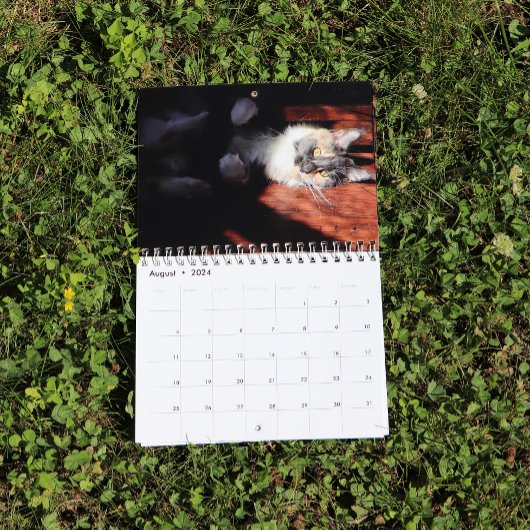 Bougie Verdunnen Calico Maine Coon Cat Kalender