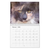 Bougie Verdunnen Calico Maine Coon Cat Kalender (Feb 2026)