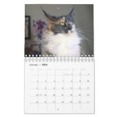 Bougie Verdunnen Calico Maine Coon Cat Kalender (Jan 2026)