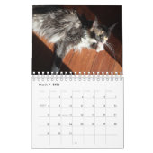 Bougie Verdunnen Calico Maine Coon Cat Kalender (Mar 2026)