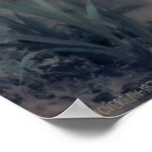 Bouguereau - Au Bord du Ruisseau Poster (Hoek)