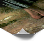 Bouguereau - La Jeune Bergere Poster (Hoek)