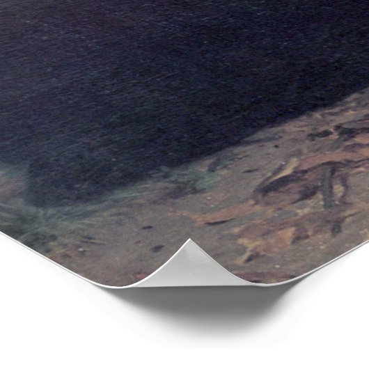 Bouguereau - Le Jour des Morts Poster (Hoek)