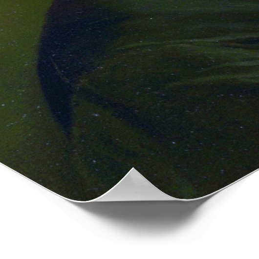 Bouguereau - Miss Elizabeth Gardner 1879 Poster (Hoek)