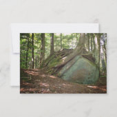Boulder and Roots – Nature’s Resilience Photo Notitiekaartje (Voorkant)