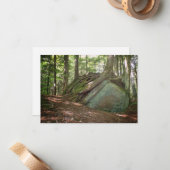 Boulder and Roots – Nature’s Resilience Photo Notitiekaartje (Voorkant / Achterkant in situ)