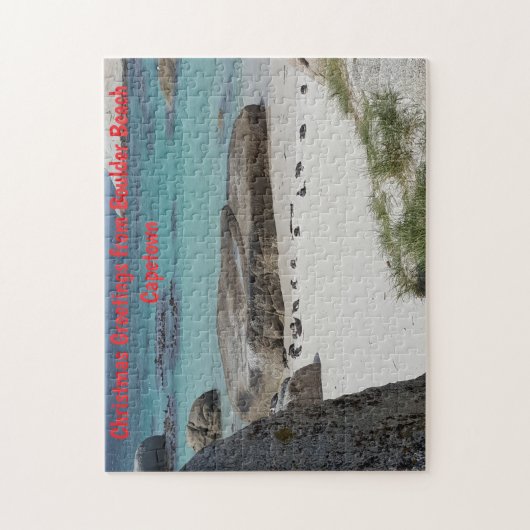 Boulder Beach Capetown Legpuzzel (Verticaal)