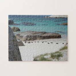 Boulder Beach Capetown Legpuzzel
