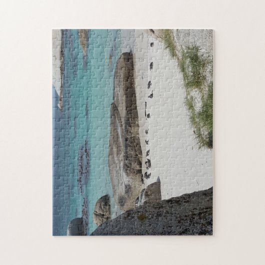 Boulder Beach Capetown Legpuzzel (Verticaal)