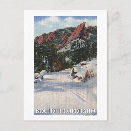 Boulder, Colorado - Vlamingen in de winter Briefkaart (Voorkant)