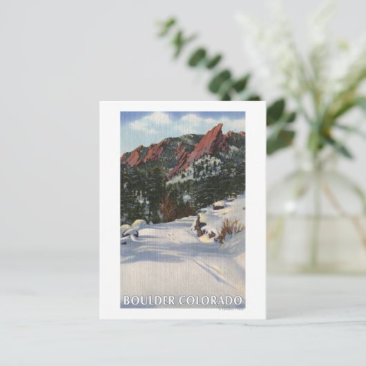 Boulder, Colorado - Vlamingen in de winter Briefkaart (Staand voorkant)