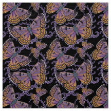 Boulder Copper Butterfly