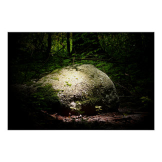 Boulder in het Bos Perfect Poster