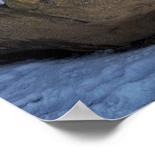Boulder in Snow Poster (Hoek)