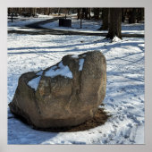 Boulder in Snow Poster (Voorkant)