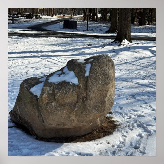 Boulder in Snow Poster (Voorkant)